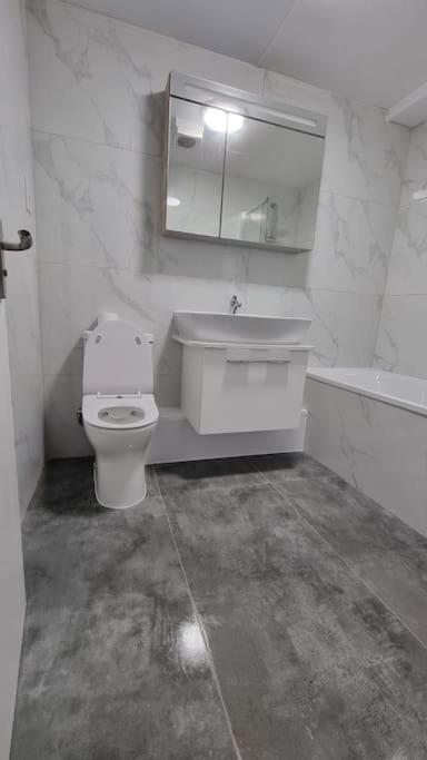 Brand New Flat Close To Turnpike Lane Tube Station Londres Exterior foto